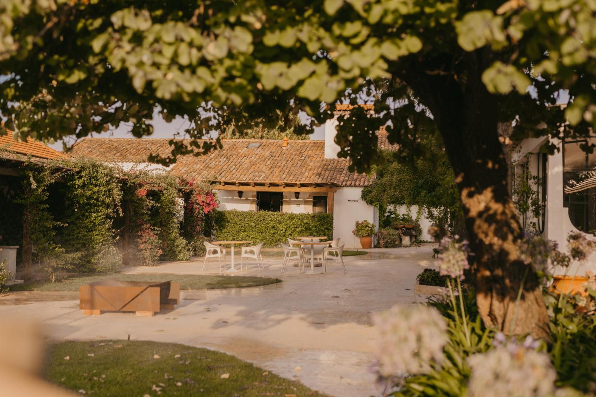Quinta Carvalhas - The Green Farm Casevel Exterior foto
