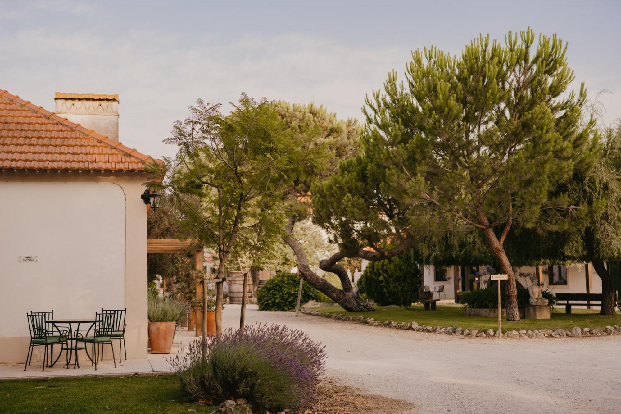 Quinta Carvalhas - The Green Farm Casevel Exterior foto