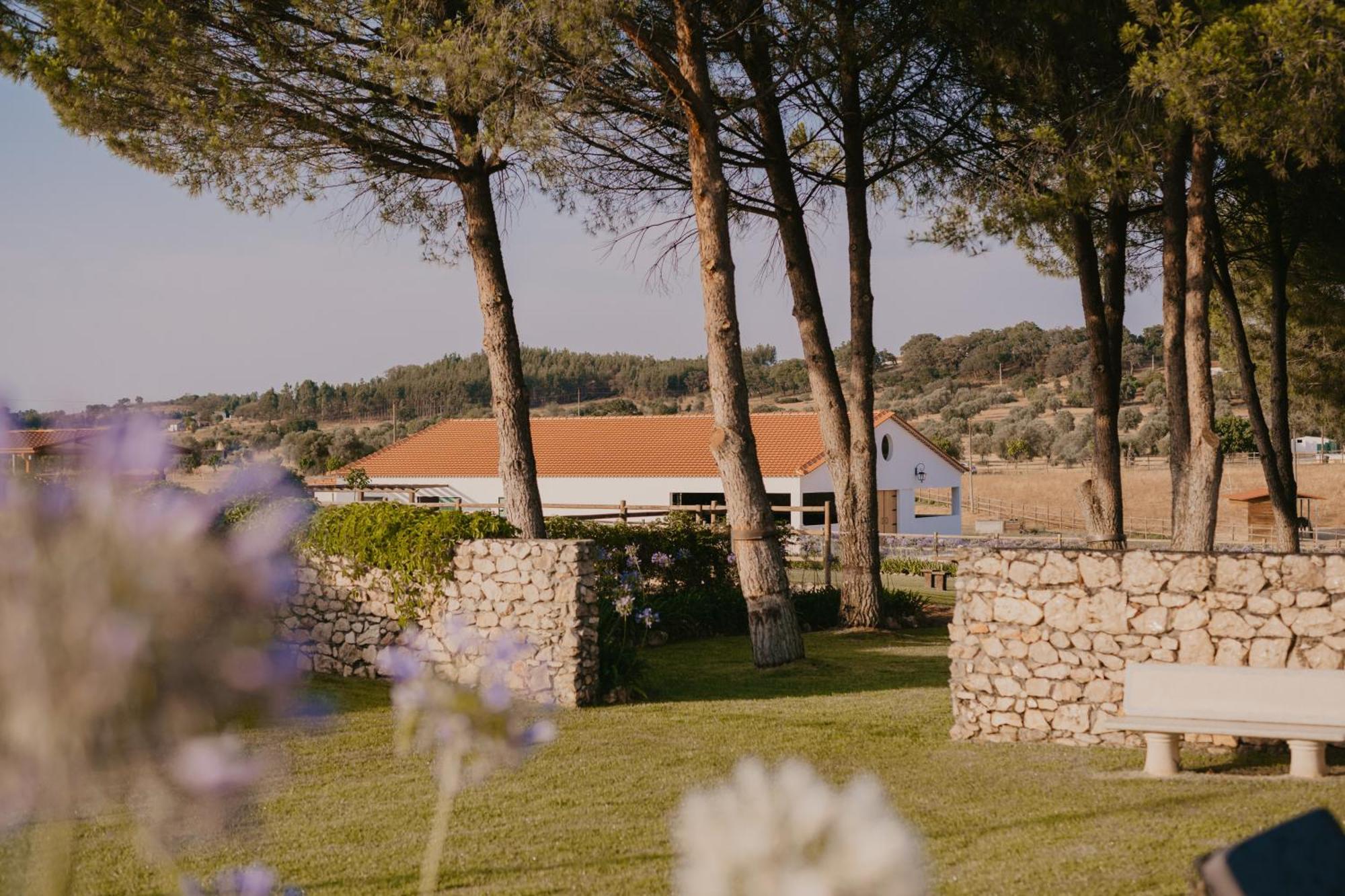 Quinta Carvalhas - The Green Farm Casevel Exterior foto