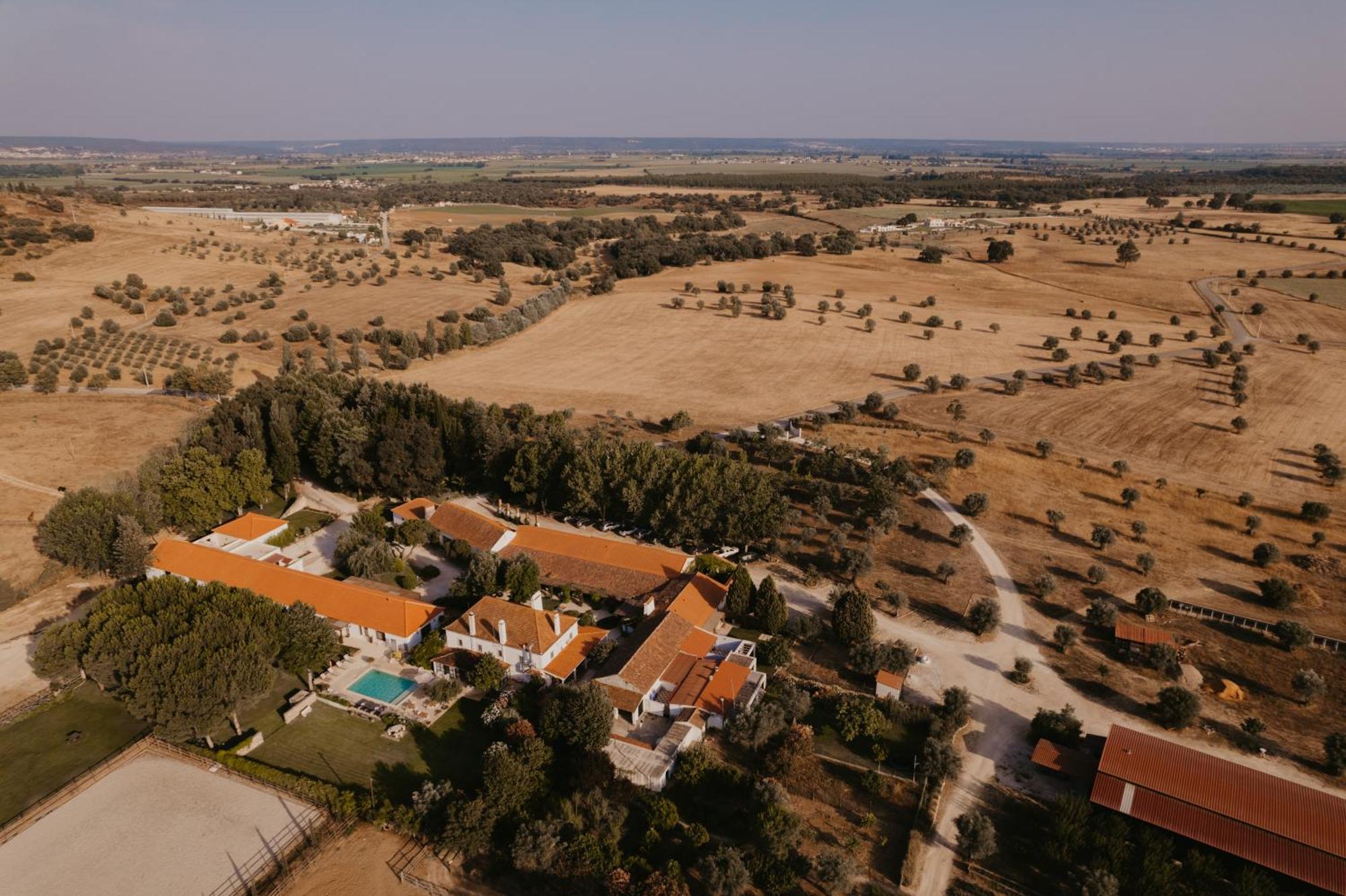 Quinta Carvalhas - The Green Farm Casevel Exterior foto
